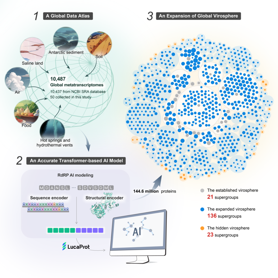 中國科學家運用人工智慧演算法發現大量全新RNA病毒，大幅拓寬RNA病毒庫