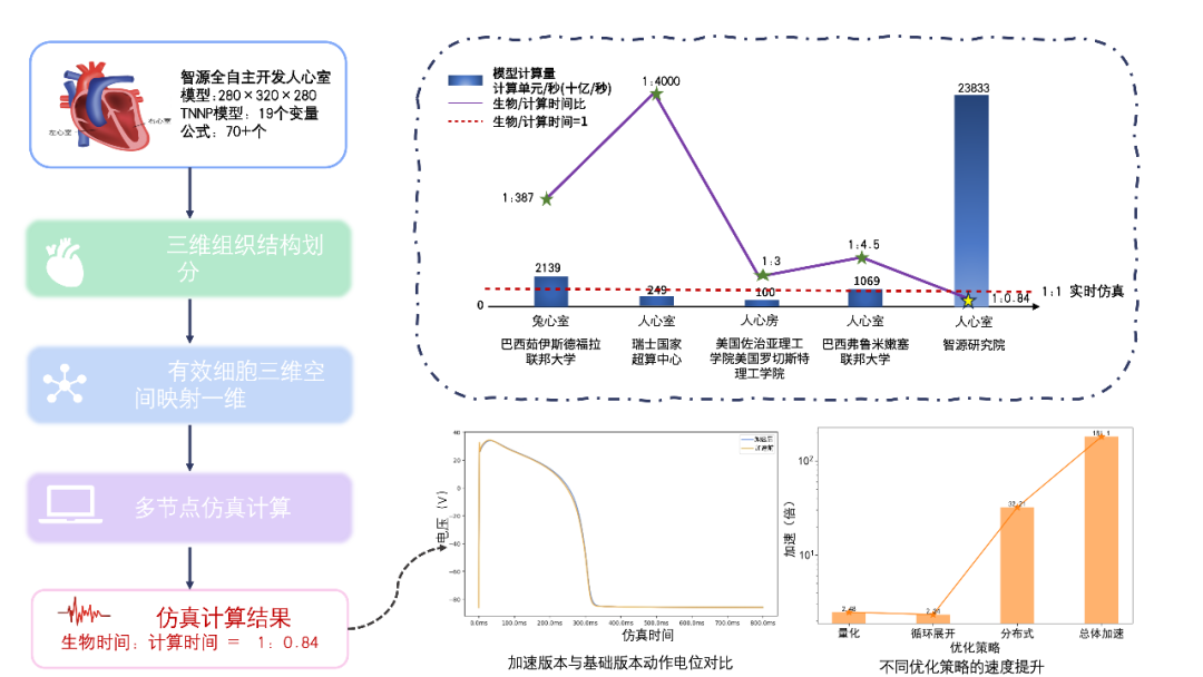 圖注2：實時心臟計算概覽圖